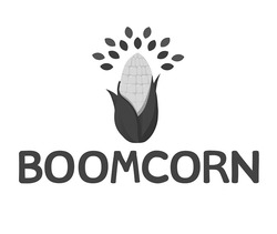 Заявка на торговельну марку № m202313328: boomcorn