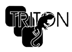 Свідоцтво торговельну марку № 330714 (заявка m202108944): triton