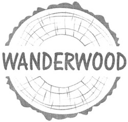 Свідоцтво торговельну марку № 305054 (заявка m201917279): wanderwood