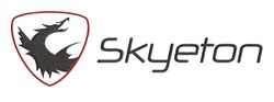 Свідоцтво торговельну марку № 308743 (заявка m201932097): skyeton