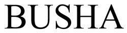 Заявка на торговельну марку № m202503129: busha