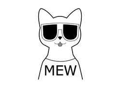 Свідоцтво торговельну марку № 278806 (заявка m201818456): mew