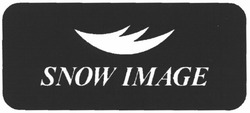 Свідоцтво торговельну марку № 69599 (заявка m200506882): snow image