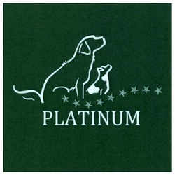 Заявка на торговельну марку № m202125055: platinum
