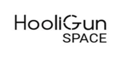 Заявка на торговельну марку № m202604914: hooli gun; hooligun space