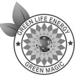 Заявка на торговельну марку № m202023389: green life energy; green magic