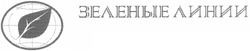 Свідоцтво торговельну марку № 98846 (заявка m200608939): зеленые линии