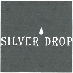 Заявка на торговельну марку № m200605825: silver drop