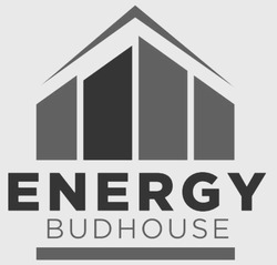 Заявка на торговельну марку № m202307969: energy budhouse