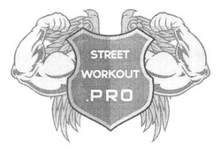 Свідоцтво торговельну марку № 188230 (заявка m201310724): street workout pro