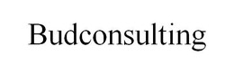 Заявка на торговельну марку № m202023736: budconsulting