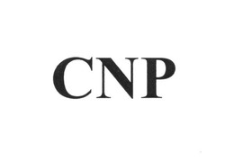 Свідоцтво торговельну марку № 255284 (заявка m201710731): cnp