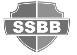 Свідоцтво торговельну марку № 313707 (заявка m202009129): ssbb