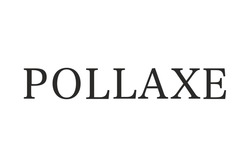 Свідоцтво торговельну марку № 328608 (заявка m202019291): pollaxe