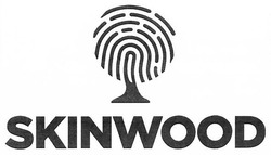 Свідоцтво торговельну марку № 265452 (заявка m201722887): skinwood; skin wood
