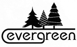 Свідоцтво торговельну марку № 303651 (заявка m201918054): evergreen; ever green