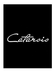 Свідоцтво торговельну марку № 300939 (заявка m201920398): catarsis; cataroio