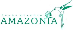 Свідоцтво торговельну марку № 102578 (заявка m200718502): салон красоты; amazonia