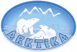 Свідоцтво торговельну марку № 74031 (заявка m200605873): arktika; арктіка