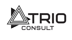 Заявка на торговельну марку № m202518857: trio consult