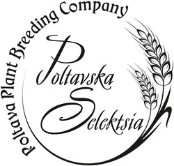 Свідоцтво торговельну марку № 308465 (заявка m201918137): poltava plant breeding company; poltavska selektsia