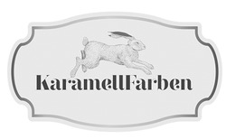 Свідоцтво торговельну марку № 335565 (заявка m202115025): karamell farben; karamellfarben