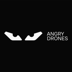 Заявка на торговельну марку № m202409738: angry drones
