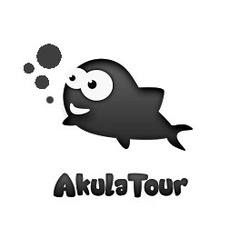 Заявка на торговельну марку № m201711374: akula tour