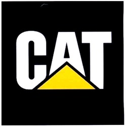 Свідоцтво торговельну марку № 110784 (заявка m200804767): cat; сат