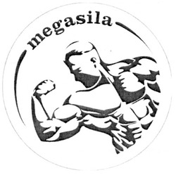 Свідоцтво торговельну марку № 161245 (заявка m201207680): megasila
