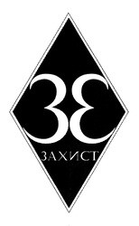 Свідоцтво торговельну марку № 314072 (заявка m202004992): 33; захист; зз