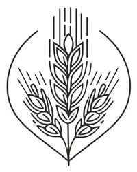 Заявка на торговельну марку № m202515432