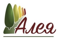 Заявка на торговельну марку № m202606324