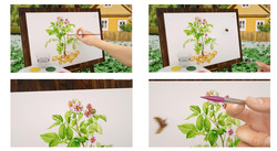 Заявка на торговельну марку № m202507568