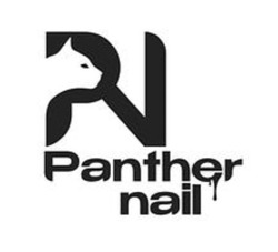 Заявка на торговельну марку № m202418880: panther nail; pn