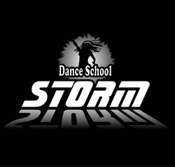 Свідоцтво торговельну марку № 312981 (заявка m202001231): dance school storm