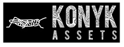 Свідоцтво торговельну марку № 332123 (заявка m202113131): konyk assets