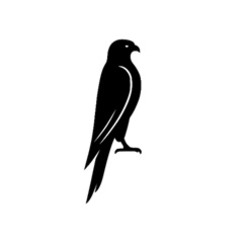 Заявка на торговельну марку № m202512994