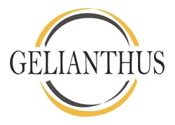 Заявка на торговельну марку № m202411629: gelianthus