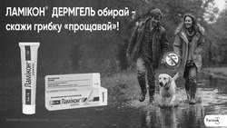 Заявка на торговельну марку № m202519191: farmak; ламікон дермгель обирай-скажи грибку прощавай!