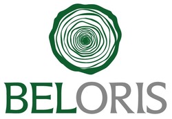 Свідоцтво торговельну марку № 312201 (заявка m201932583): beloris
