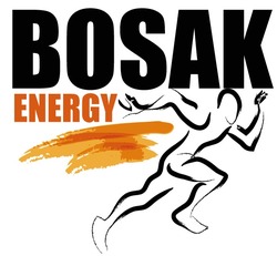 Свідоцтво торговельну марку № 338343 (заявка m202124312): bosak energy