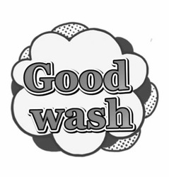 Свідоцтво торговельну марку № 344616 (заявка m202207933): good wash