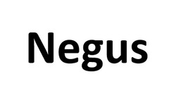 Заявка на торговельну марку № m202523311: negus