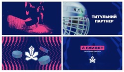 Заявка на торговельну марку № m202519497: сокіл; титульний партнер; favbet