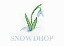 Заявка на торговельну марку № m201823663: snowdrop