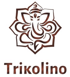 Свідоцтво торговельну марку № 315629 (заявка m202003242): trikolino