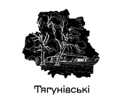 Заявка на торговельну марку № m202609008