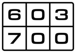 Заявка на торговельну марку № m202507907: 76; 007; 306; 67; 700; 603
