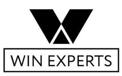 Свідоцтво торговельну марку № 312430 (заявка m202007309): win experts; v